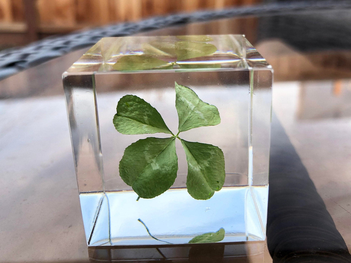 Real Four Leaf Clover Cube 1.6"